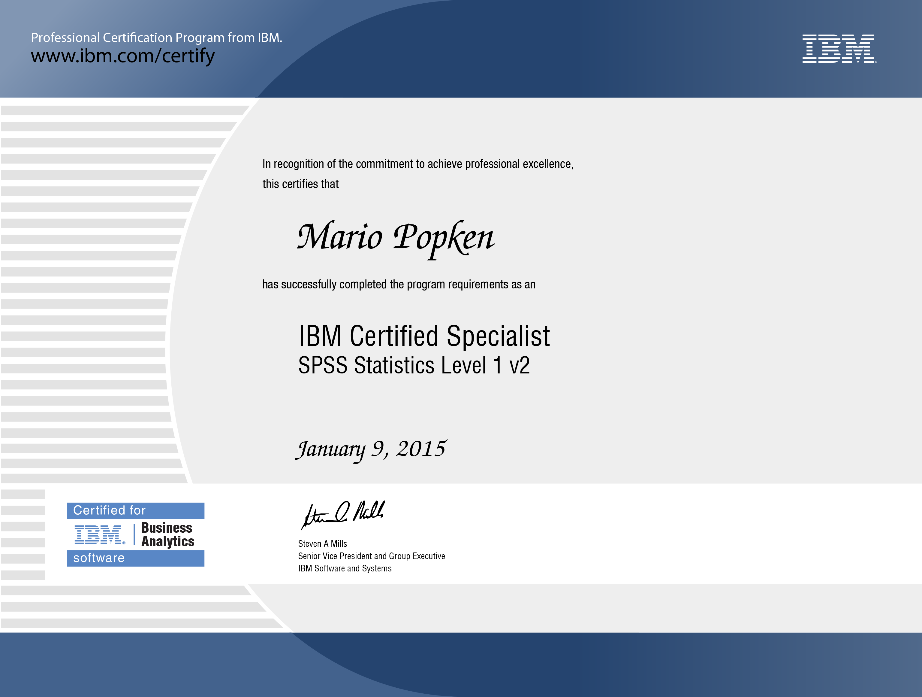 IBM Business Analytics